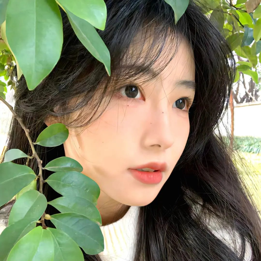 我和我的伙伴 封面